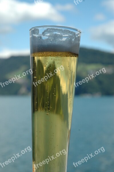 Beer Glass Lake Refreshment Mirroring