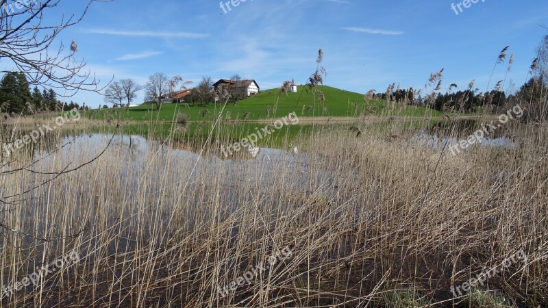 Bavaria Allgäu Hegratsrieder Lake Reed Lake