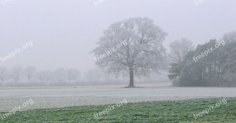 Winter Snow Cold Field Fog