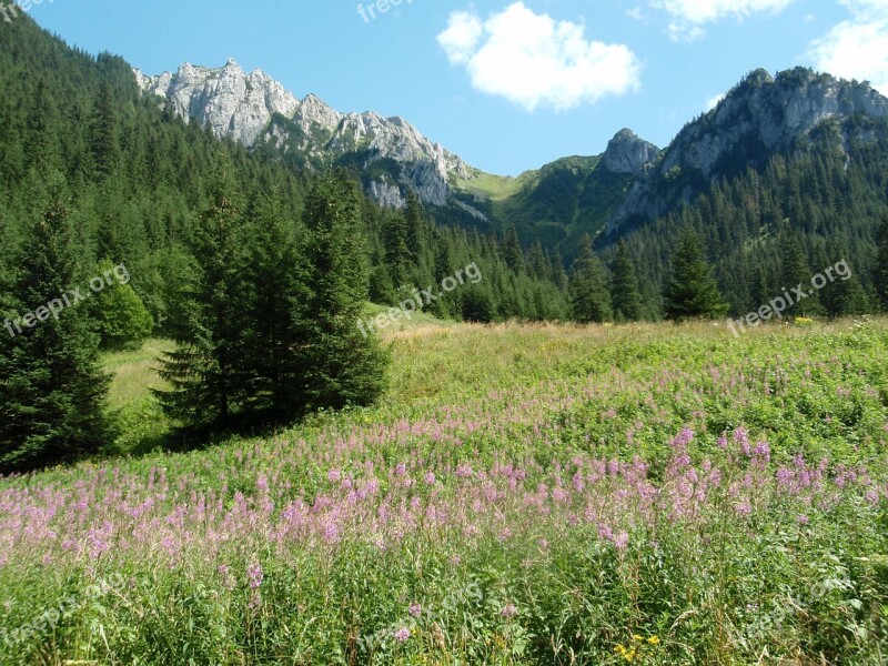 Tatry Mountains Kościeliska Valley Landscape Free Photos