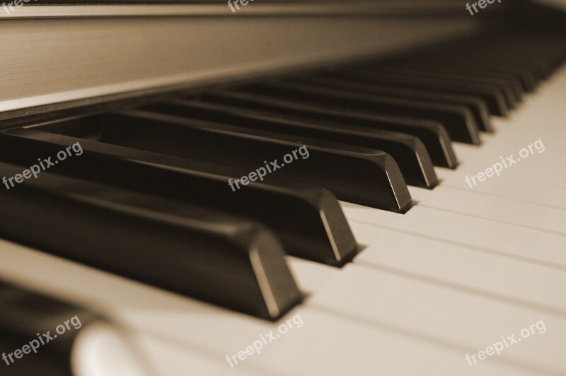 Piano Keys Music Piano Keys Piano Keyboard