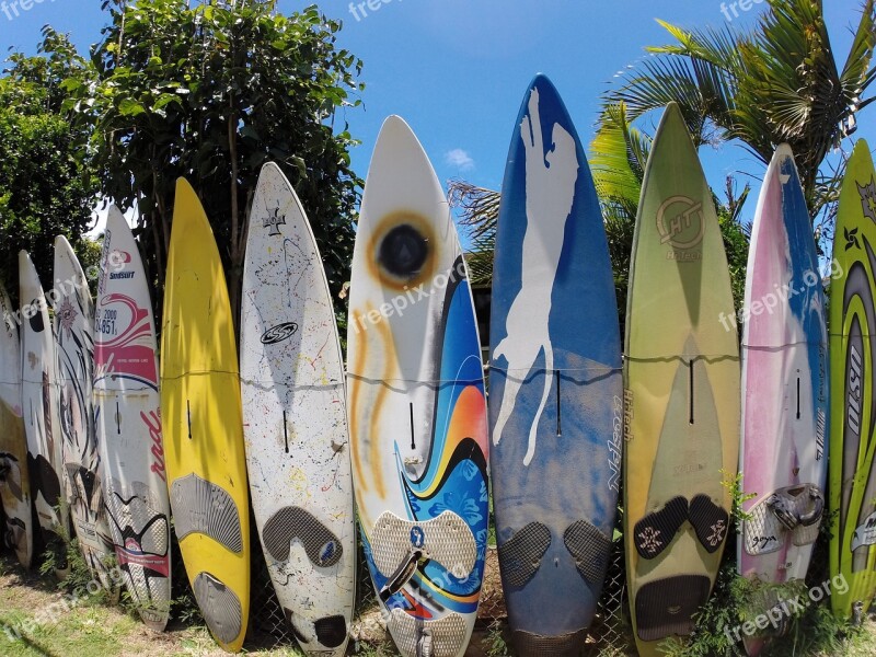 Boards Hawaii Wall Several Boards Free Photos