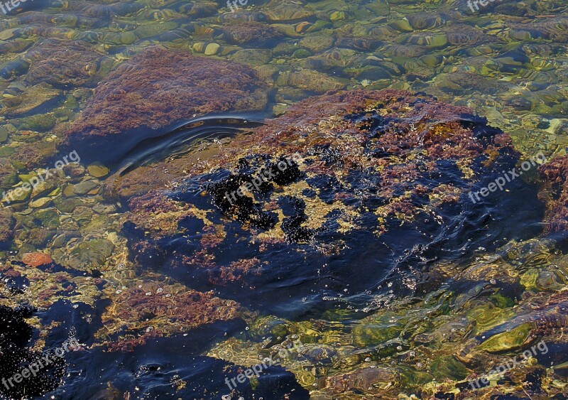 Water Sea Coast Water Circles Shallow Water