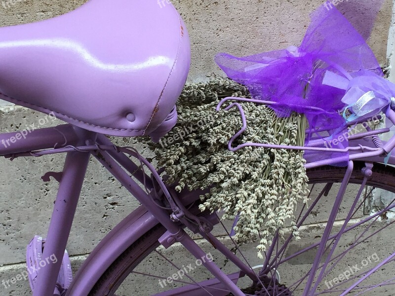 Detail Bicycle Purple Lavender Summer