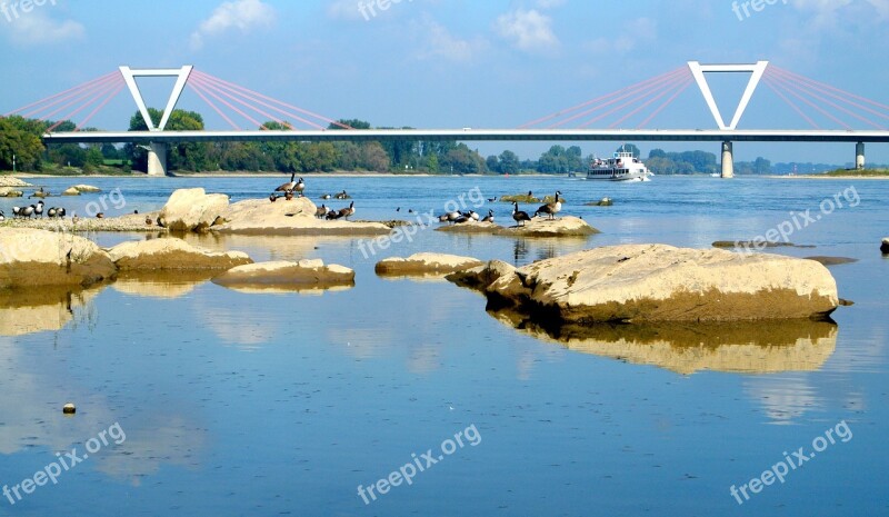 Rhine Düsseldorf Bridge River Landscape Water