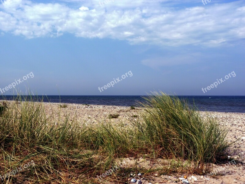 Fehmarn Fehmarn Belt Baltic Sea Beach Summer