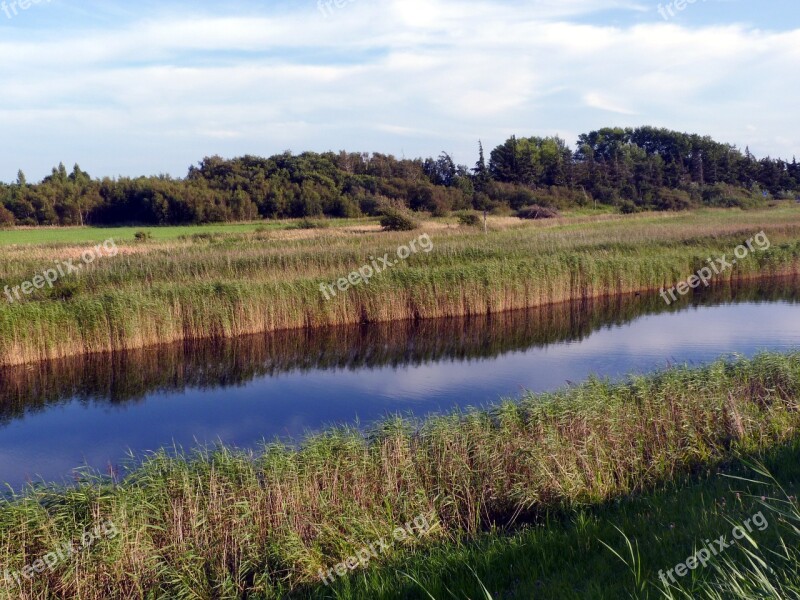 Fehmarn Wallnau Evening Light Nature Rest