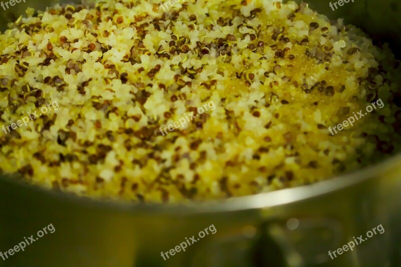 Quinoa Cooked Pot Grain Vegetarian