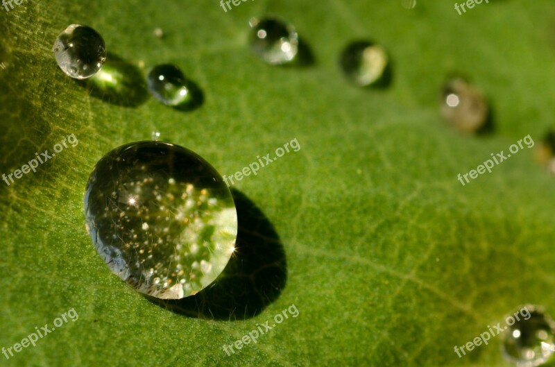 Drop Water Green Shiny Bubble