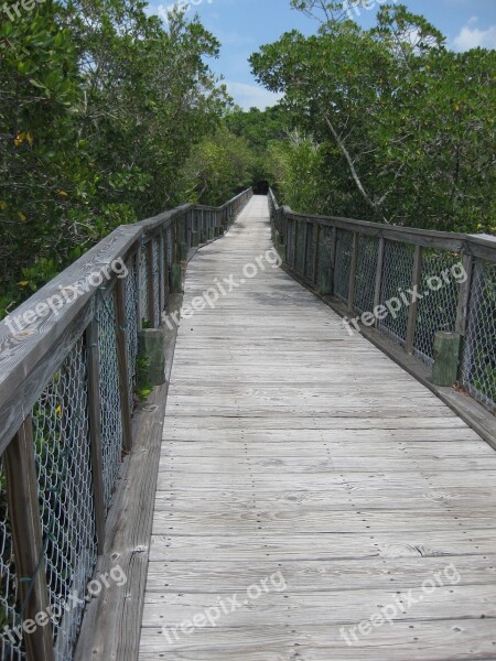 Bridge Foot Bridge Foot Path Nature