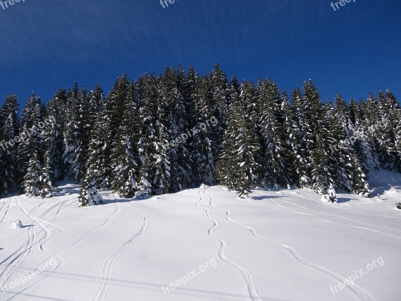 Snow Ski Trace Mountain Winter