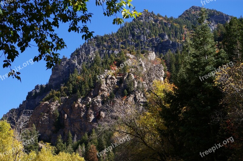 Wasatch Mountains Utah Nature Trees