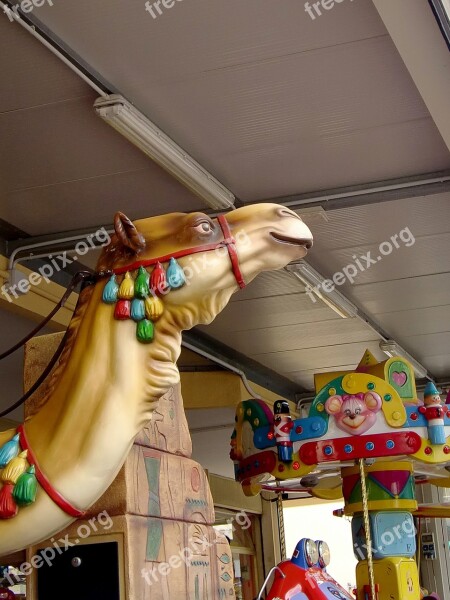 Camel Desert Ship Animal Caravan Head