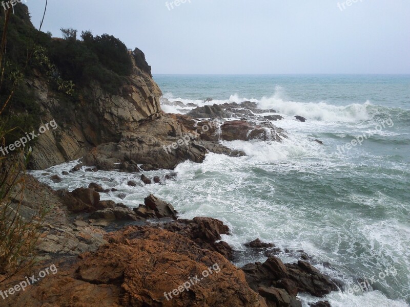 Sea Shore Nature Ocean Coastline