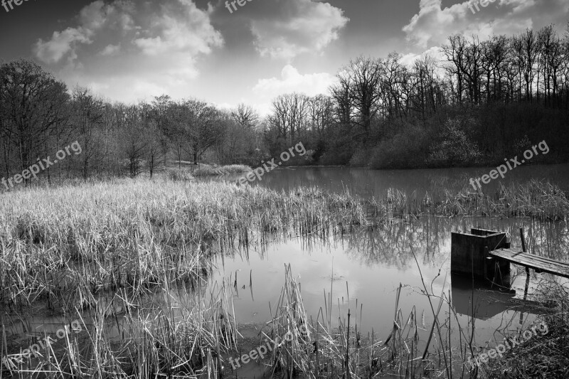 Lake Water Landscape Black White Free Photos