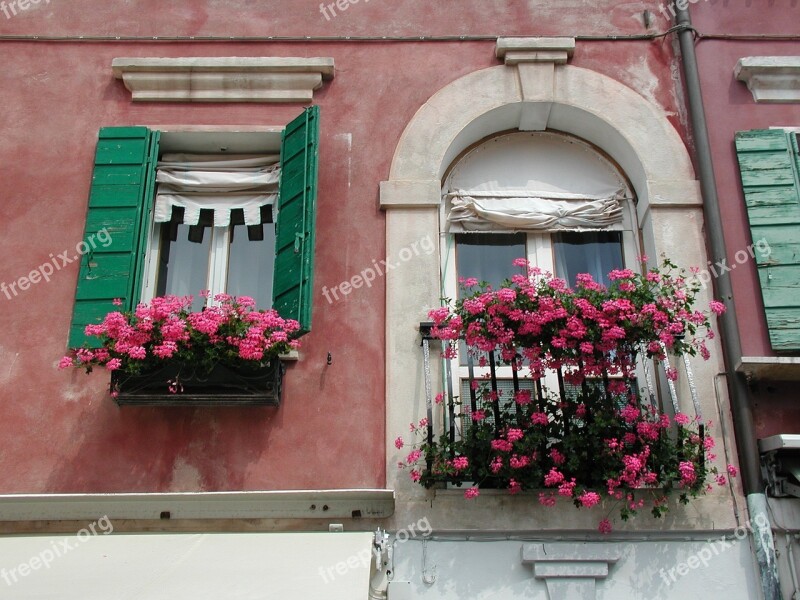 Facade Flowers Building Flower Boxes Window