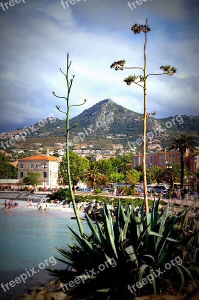 Corsica Port France Coast Port City