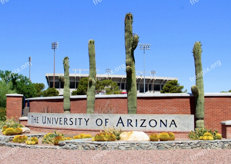 University Of Arizona Uofa University Arizona School