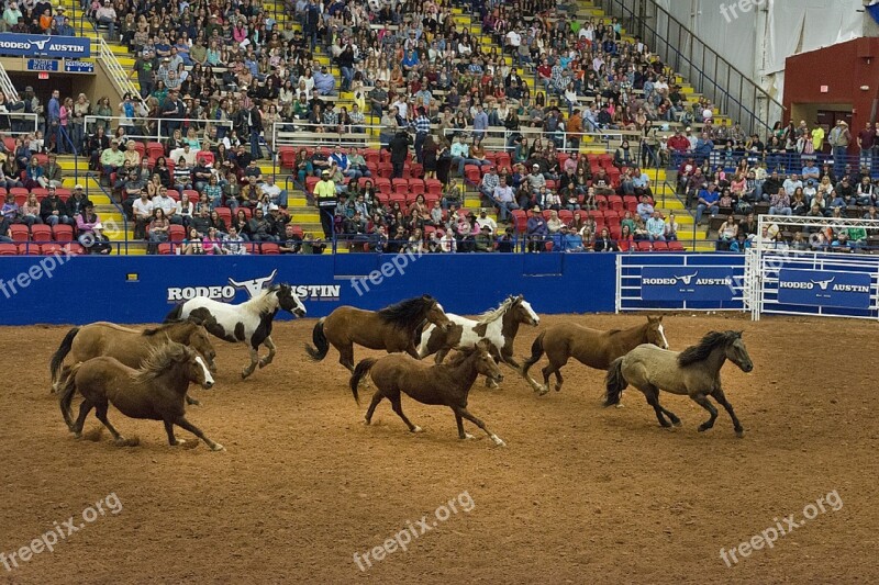 Rodeo Horses Arena Cowboys West