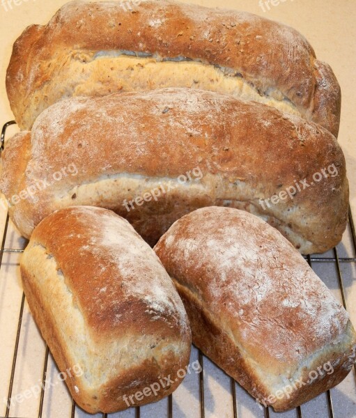 Bread Multi Grain Corn Rye Flax