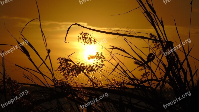 Sunset Afternoon Beach Free Photos