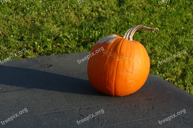 Pumpkin Halloween Autumn Orange Exterior