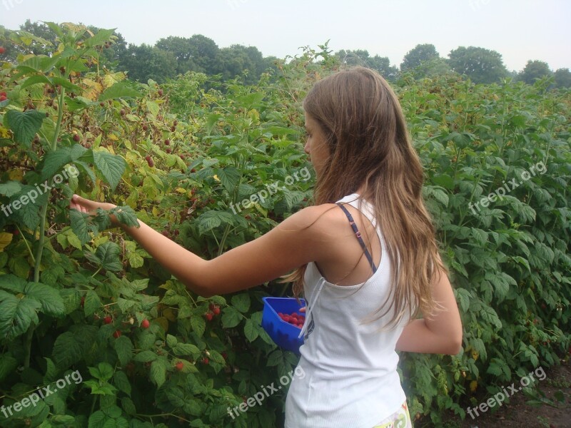 Girl Hot Raspberries Mist Picking