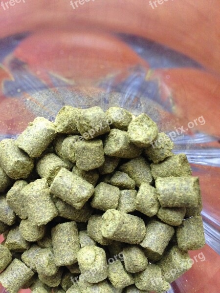 Hop Granules Beer Plant Free Photos