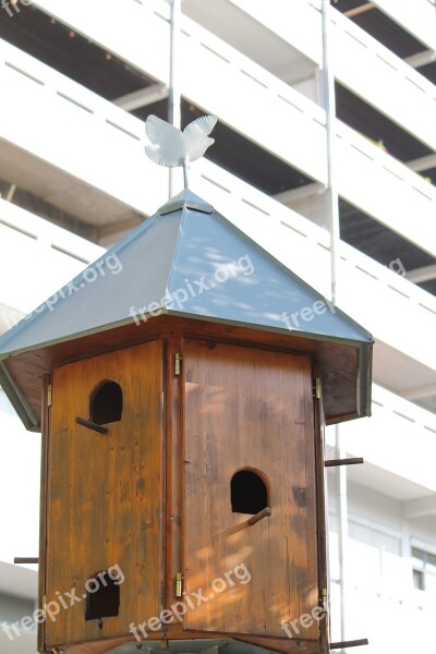 Skyscraper Aviary Nature Nest Bird