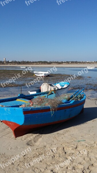 Boat Sea Fish Fishing Boat Free Photos