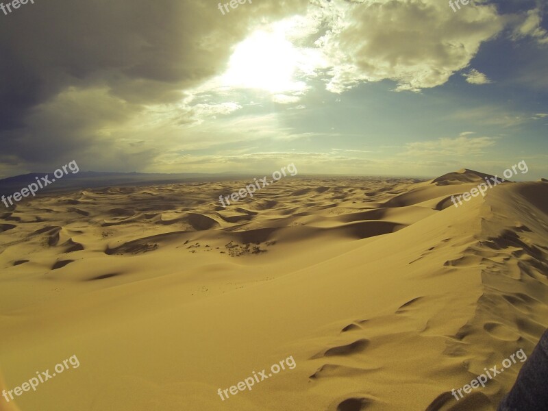 Desert Ferns Suburbs Mongolia Travel