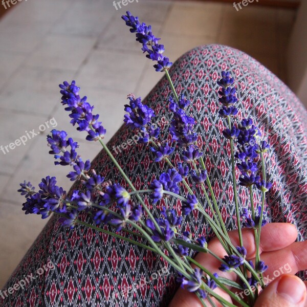 Lavender Twigs Woman Stick Fragrant