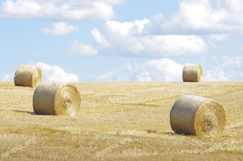 Norfolk Straw Roll Sky Field