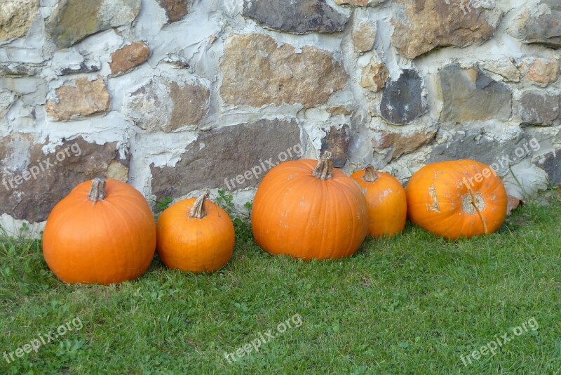 Pumpkin Halloween Orange Autumn Exterior