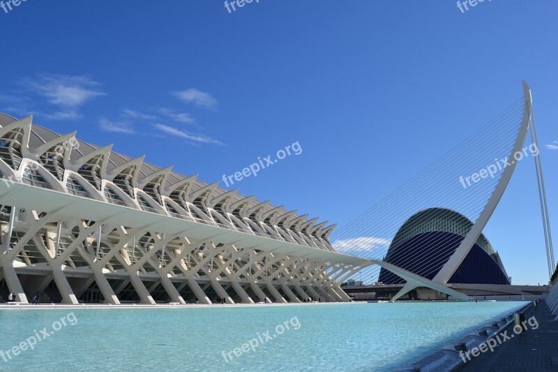 City Of Arts And Sciences Modern Architecture Valencia Travel Spain