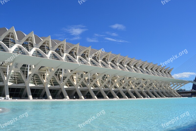 City Of Arts And Sciences Modern Architecture Valencia Travel Spain