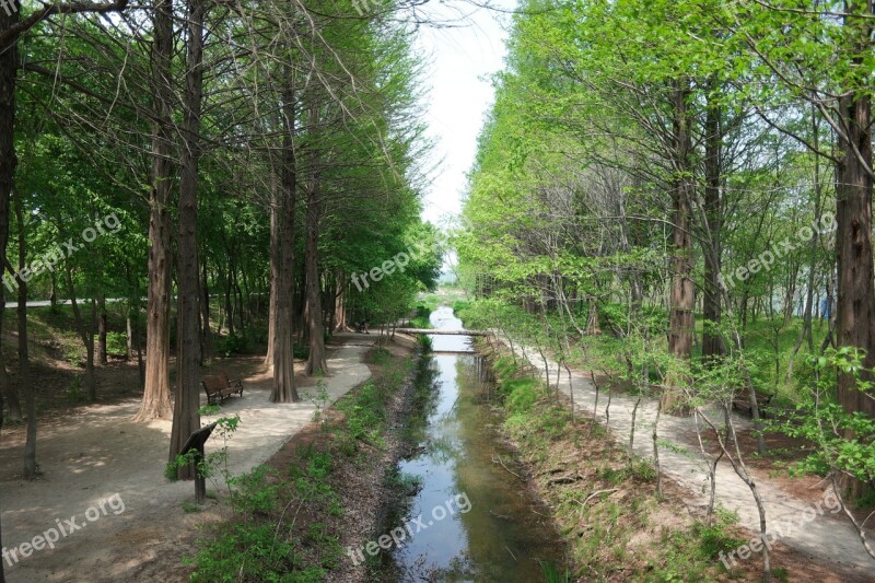 Wood Nature Landscape Arboretum Forest