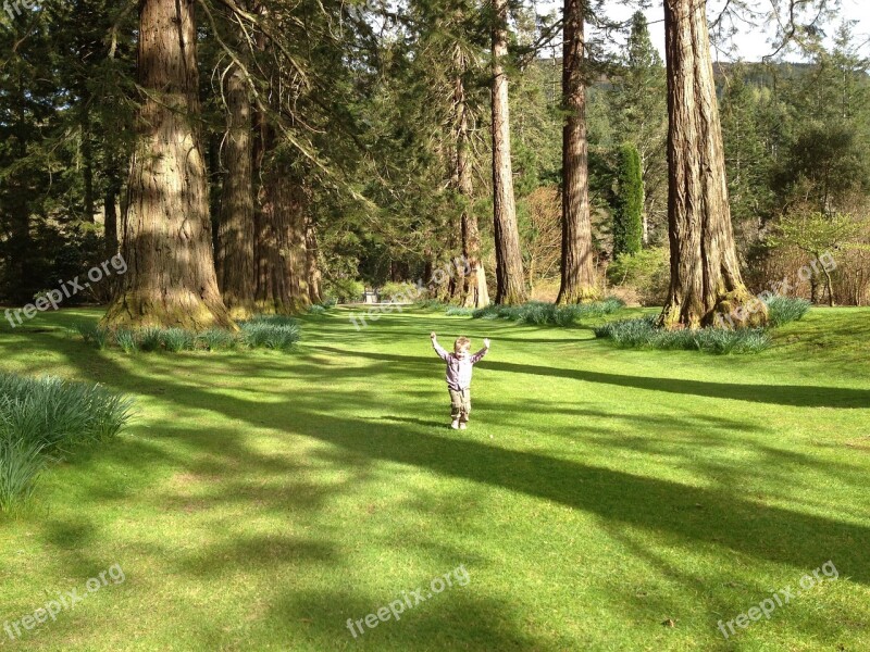 Trees Benmore Adventure Bug Trees Landscape