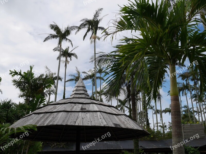 Botanical Garden Palm Arbor Comfort Break