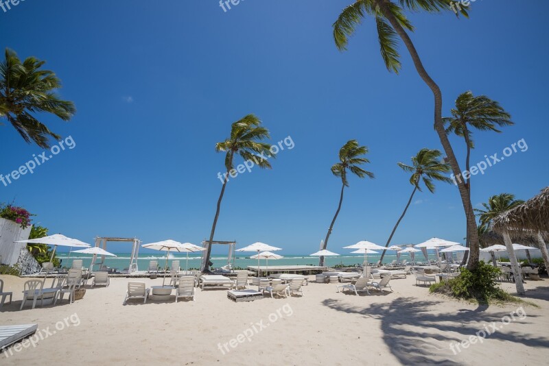 Travel Maceió Alagoas Beach Free Photos