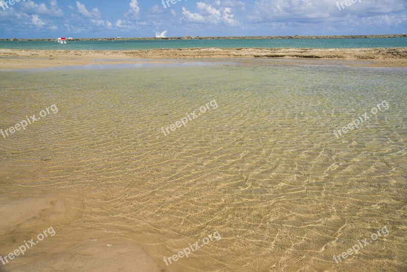 Beach Natural Swimming Pool Bar Free Photos