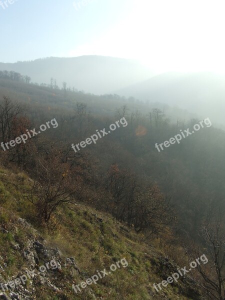 Fog Mysterious Beech Mountain Dédes Castle Forest