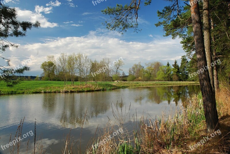 Spring Landscape Water-level Signs Of Spring Pond