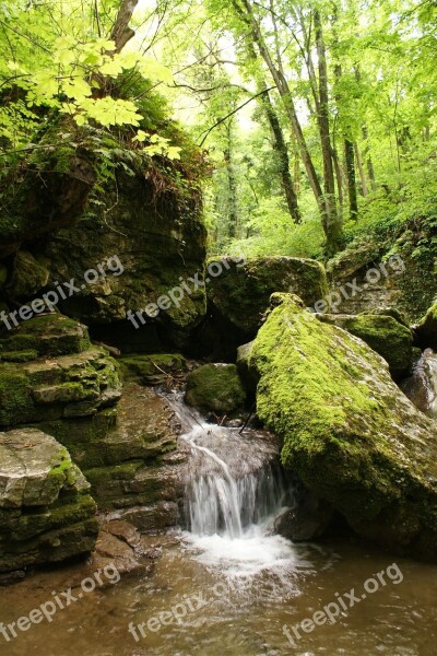 River Trees Water Courses Water Relax