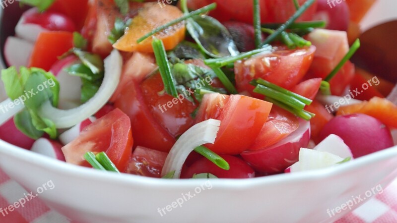 Salad Mixed Salad Cucumber Tomato Radishes