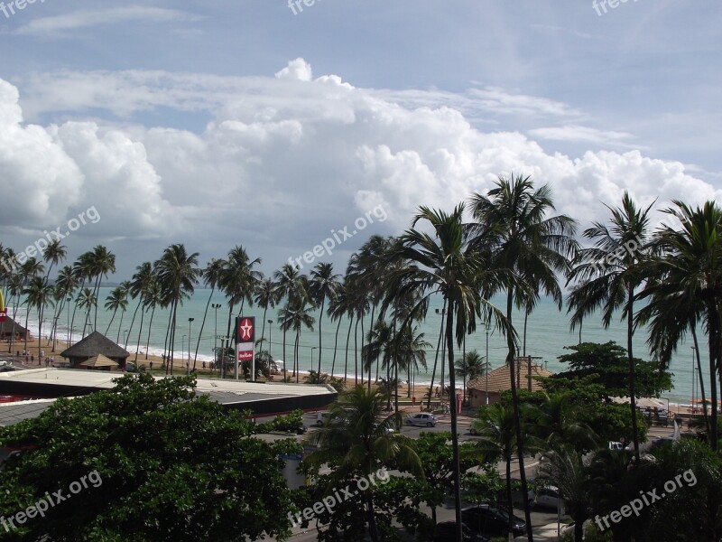 Maceió Beach Mar Sol Nature