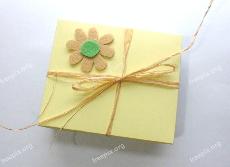 Box Daisy Gift Tape Flower