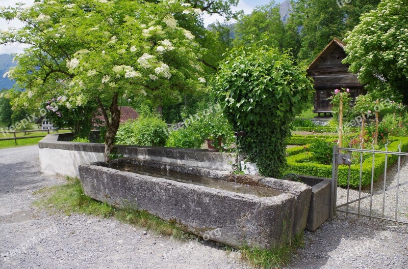 Fountain Pierre Elderberry Ballenberg Free Photos