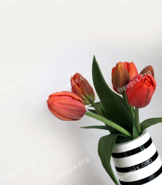 Tulips Vase Bouquet Flowers Stripes