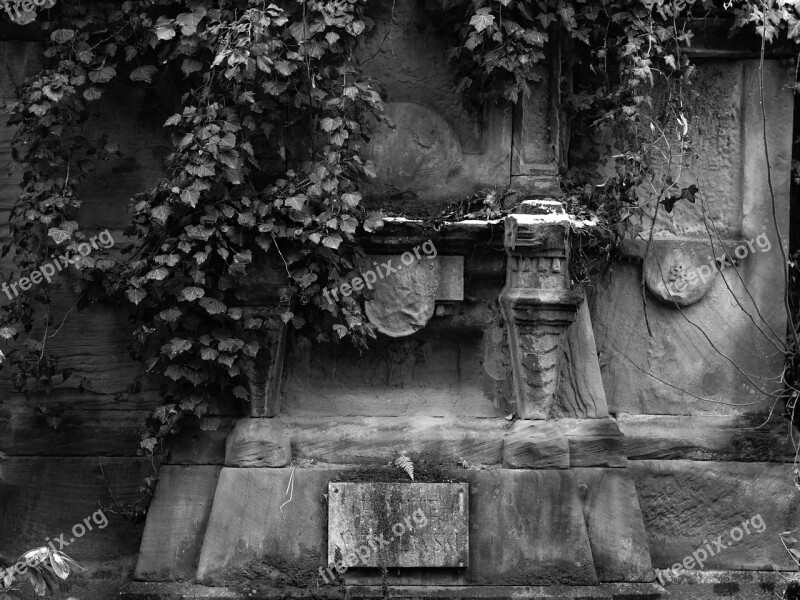 Grave Ivy Abandoned Cemetery Grieve